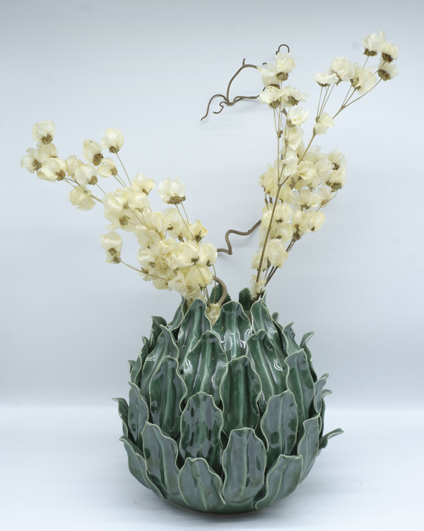 Bougainvillea - Blekt vit - Torkade blommor