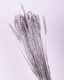 Vete - Silver - Torkade blommor