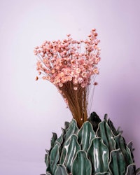 Glixia - Ljusrosa - Torkade blommor