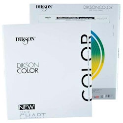 Dikson Color Chart Color NEW