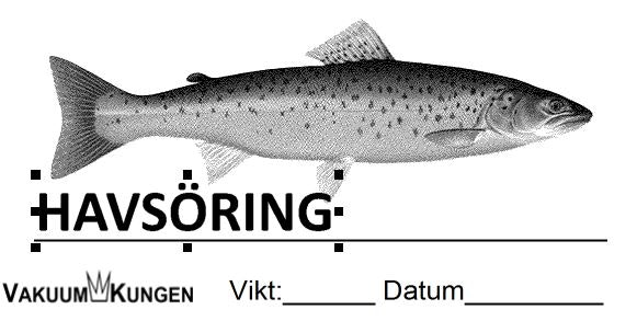 FISK