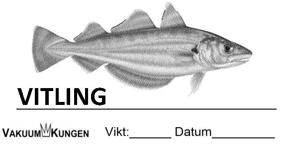 FISK