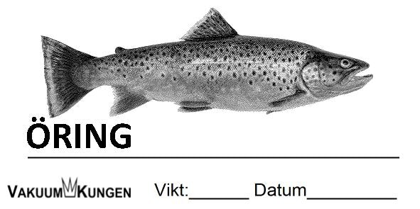 FISK