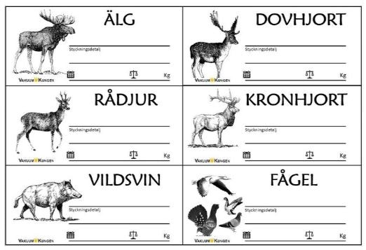 VakuumKungen