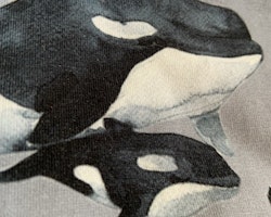 Grå hängselbyxor eller ärmlös jumpsuit med valar och sälar från Mini Axh stl 104