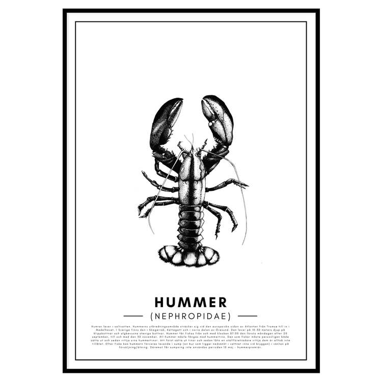 Poster Hummer