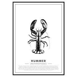 Poster Hummer