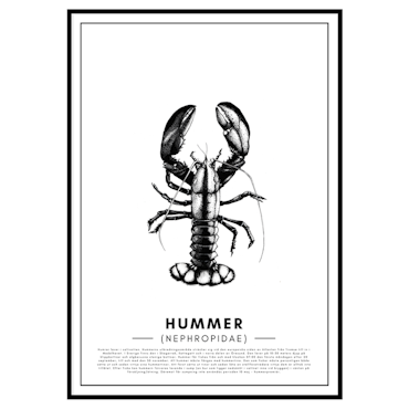 Poster Hummer