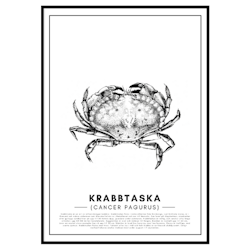 Krabba Poster