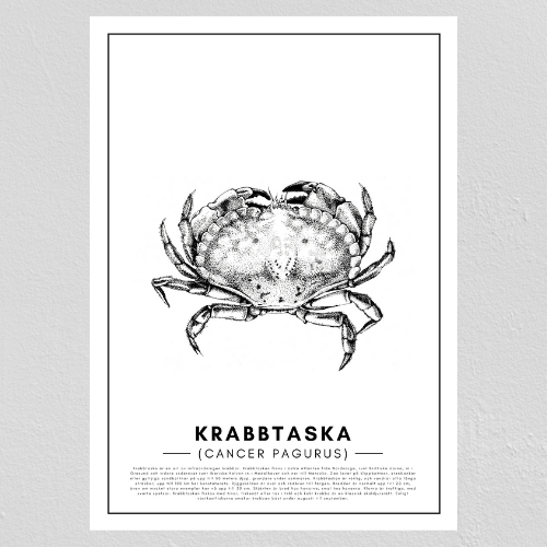Poster Krabba