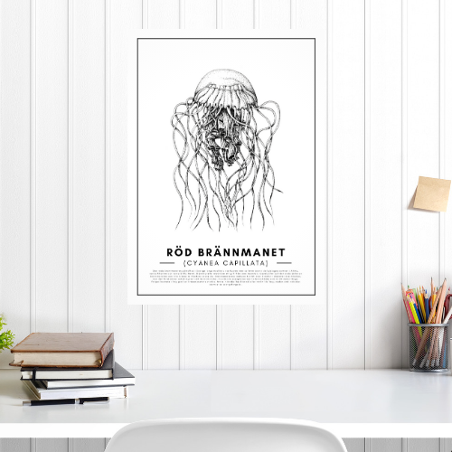 Poster Röd Brännmanet