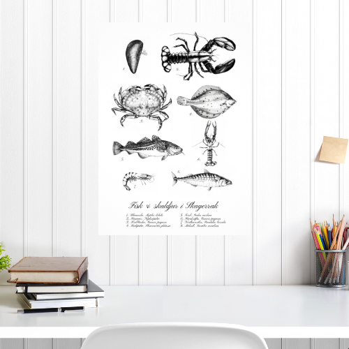 Fisk & Skaldjur Poster