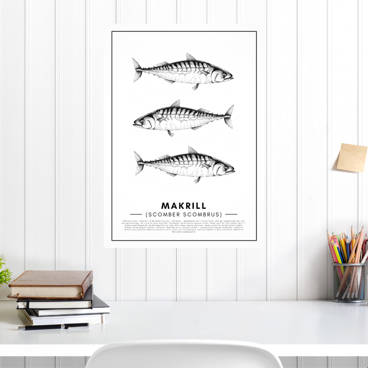 Poster Makrill