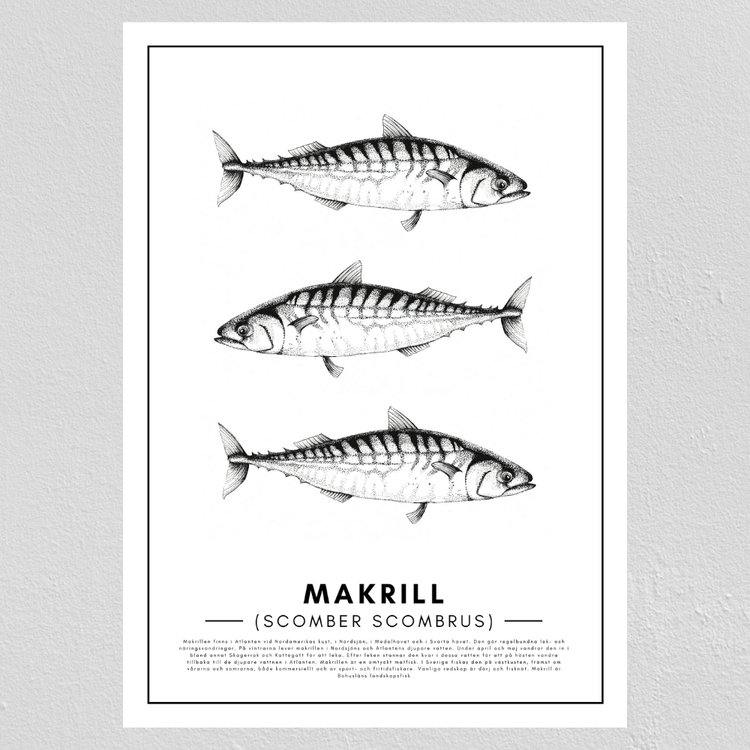 Makrill Poster