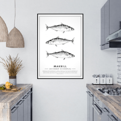 Poster Makrill