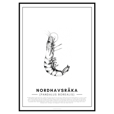 Nordhavsräka Poster