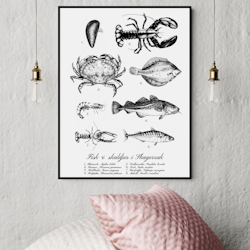 Fisk & Skaldjur Poster
