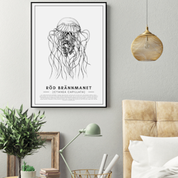 Poster Röd Brännmanet