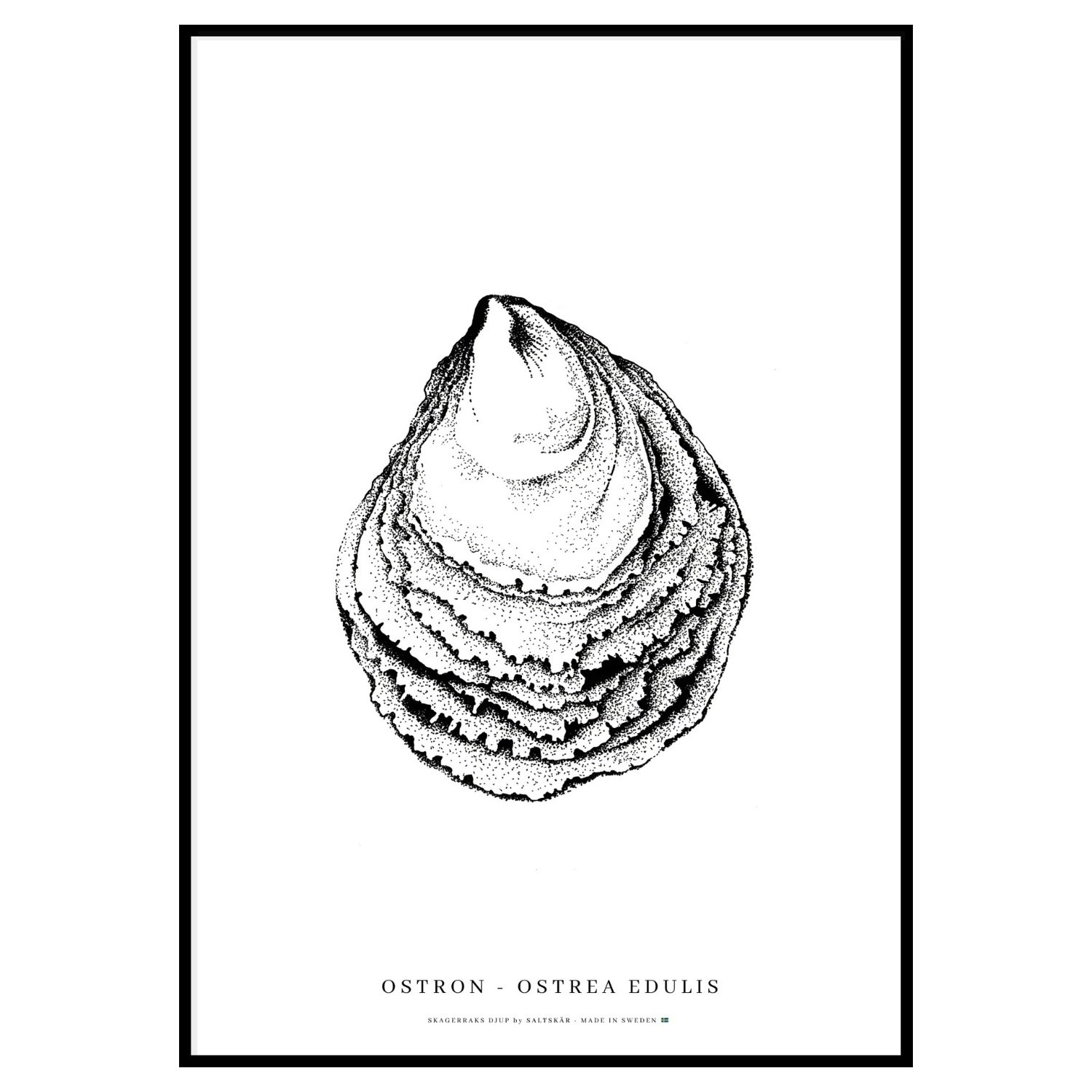 Poster Ostron