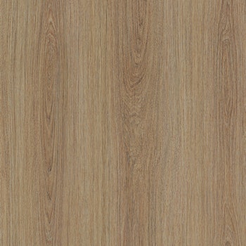 NF66 Smooth oaky oak