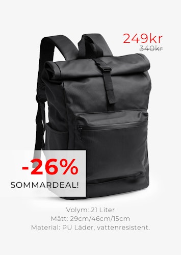 Ryggsäck Bergsjö 21 L
