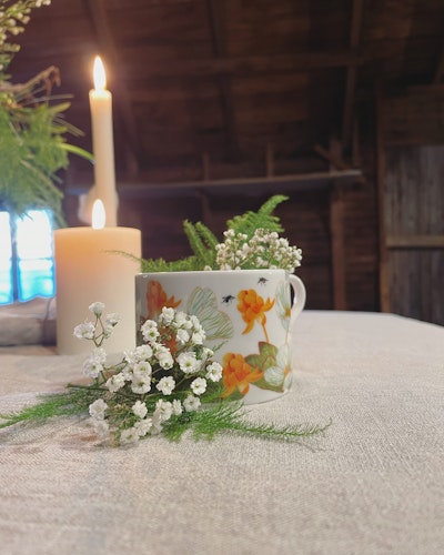 Porslin Hjortronblomning
