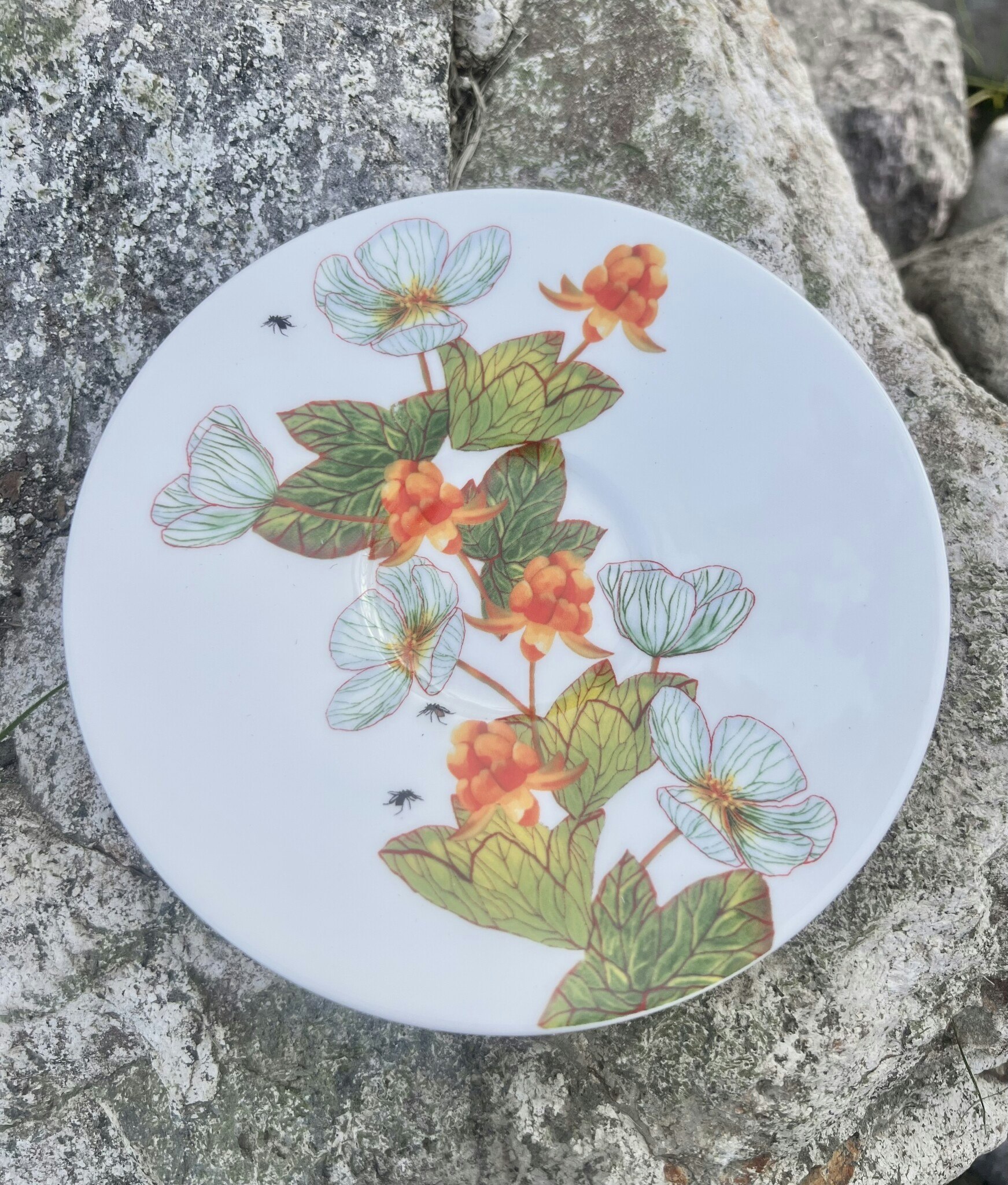1-pack porslin Hjortronblomning med tillhörande fat