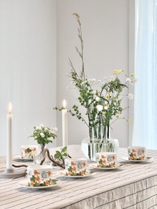 1-pack porslin Hjortronblomning med tillhörande fat