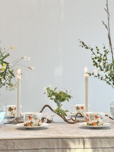 6-pack porslin Hjortronblomning med tillhörande fat