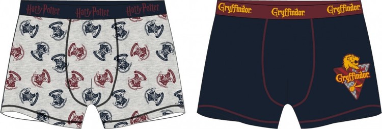 2-pack Harry Potter Boxerkalsonger
