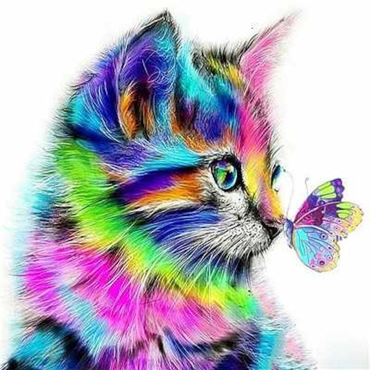 Färgglad katt med fjäril