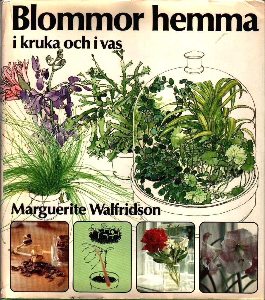 Marguerite Walfridson Blommor Hemma i kruka och i vas 1981