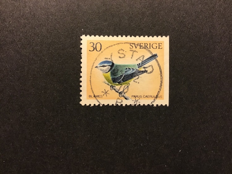 SVENSKA FÅGLAR 1970 facit nr 715 B2 PRAKTSTÄMPLAT YSTAD