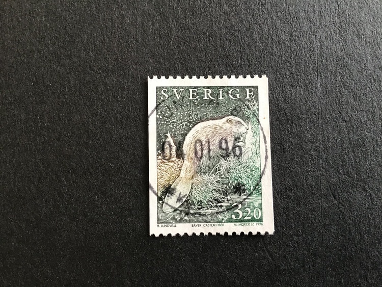 VILDA DJUR 3 1996 facit nr 1941 LYXSTÄMPLAT UMEÅ 8