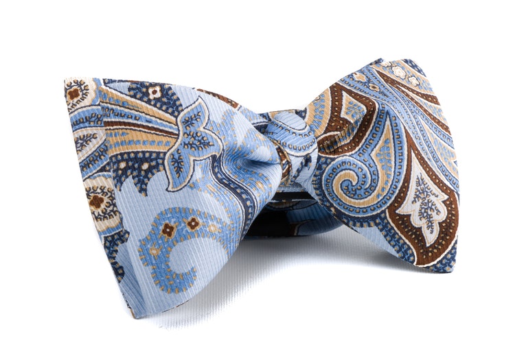 Paisley Vintage Silk Bow Tie - Light Blue/Beige/Brown