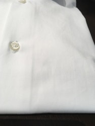 Solid Fine Twill Shirt - Cutaway - White
