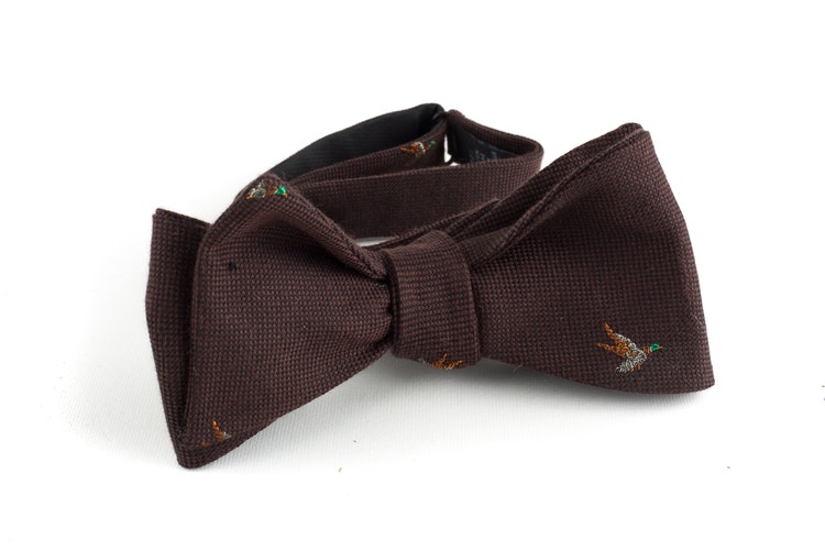 Goose Cotton/Silk Bow Tie - Brown