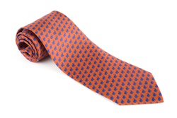 Elephant Printed Silk Tie - Rust/Light Blue