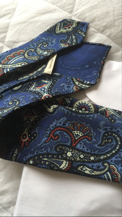 Paisley Printed Silk Tie - Untipped - Blue/Red