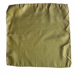 Solid Garza Silk Pocket Square - Light Green
