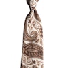 Paisley Printed Silk Tie - Cream/Beige/Brown