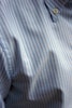 Bengalrandig Oxfordskjorta Button Down - Ljusblå/Vit