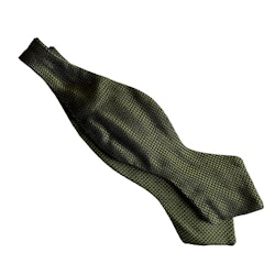 Garza Silk Bow Tie - Green/Navy Blue