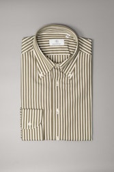 Thin Striped Poplin Shirt - Button Down - Olive Green/White