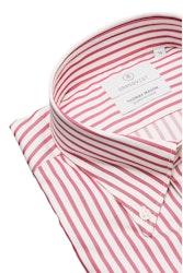 Premium Striped Twill Shirt - Button Down - Burgundy/White