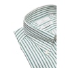 Premium Randig twillskjorta - Button Down - Grön/Vit