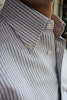 Bengal Stripe Oxford Button Down Shirt - Navy Blue/White