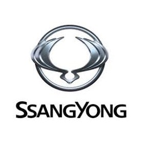 Färdigskuren Proffs Solfilm SsangYong
