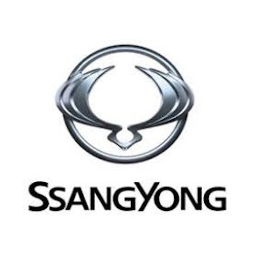 Färdigskuren Proffs Solfilm SsangYong