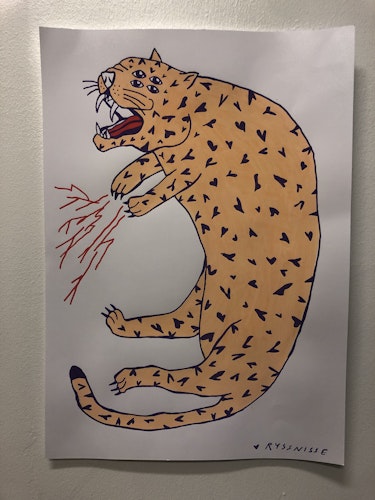leopard